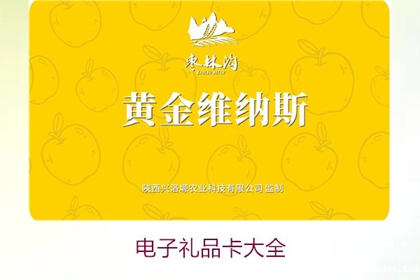 电子礼品卡大全2.jpg