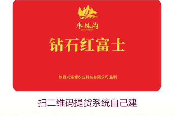 扫二维码提货系统自己建2.jpg